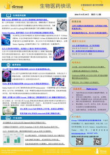 長煦信息技術(shù)咨詢 引領(lǐng)行業(yè)發(fā)展的專業(yè)服務(wù)