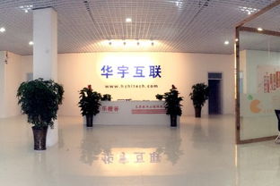 北京華宇互聯(lián)科技邯鄲分公司——信息技術(shù)咨詢服務(wù)的職業(yè)體驗與薪資分析